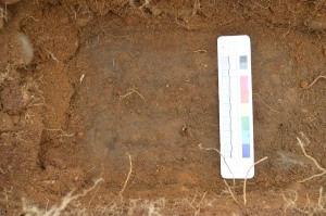 Possible land surface where the iron and slag were found.